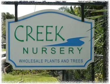 Local garden landscaping experts serving Stuart, FL - Creek Nursery