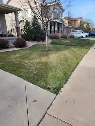 Top-rated landscape design near you across Thornton, CO - Creek Pro Lawn Care