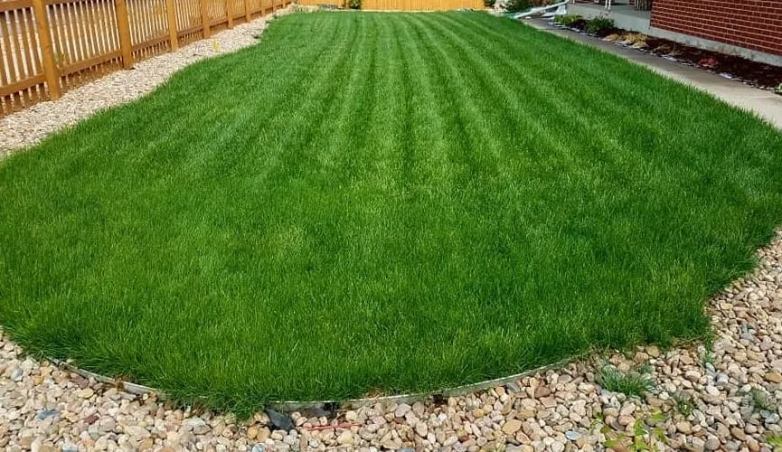 Top-rated lawn mowing service in Thornton, CO by Creek Pro Lawn Care