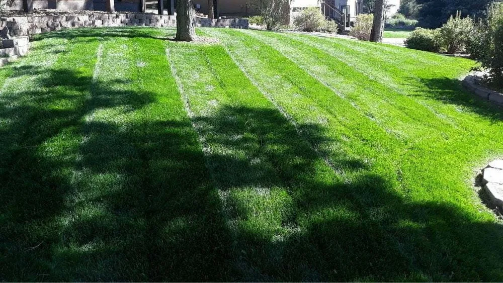 Trusted landscape design with custom design across Thornton, CO - Creek Pro Lawn Care
