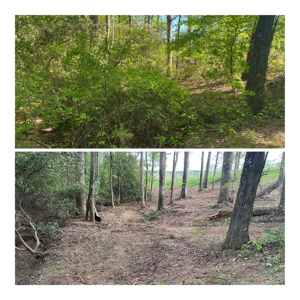 Custom outdoor landscaping for residential properties across Carnesville, GA - Creek Shoals Land Management