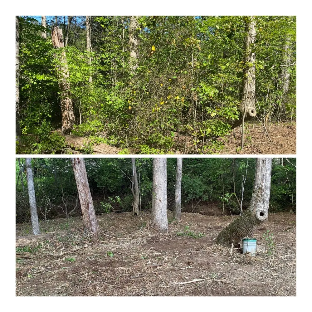 Reliable yard cleanup service for year-round maintenance in Carnesville, GA by Creek Shoals Land Management