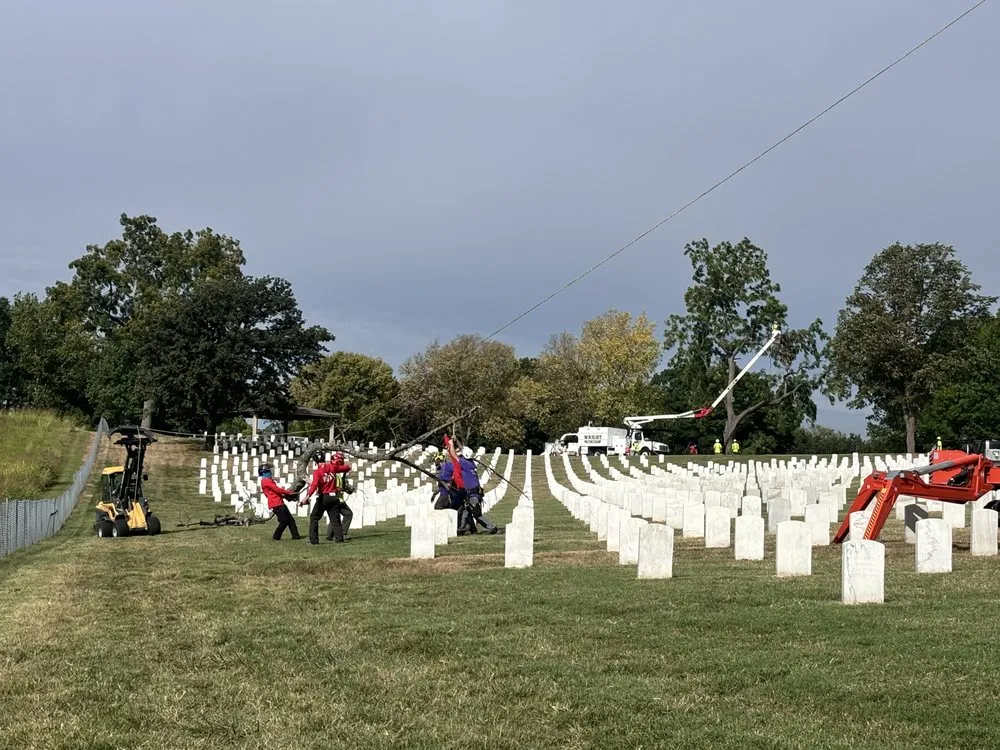 Trusted lawn care service near you across Olathe, KS - Creek Tree Service