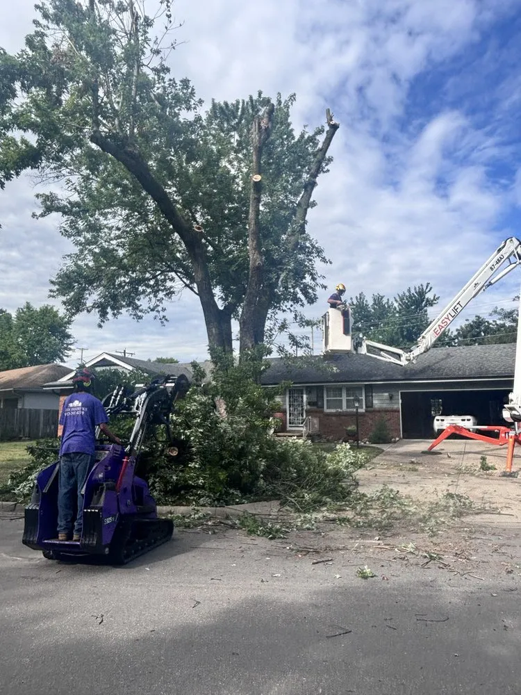 Professional landscape installation in Olathe, KS - Creek Tree Service