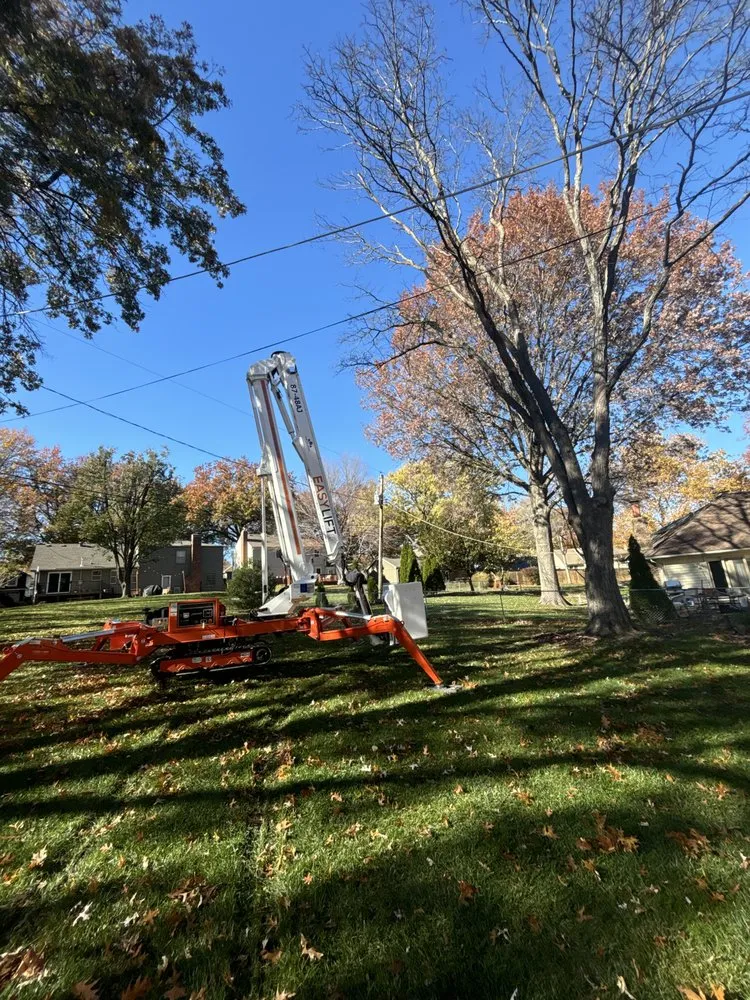 Custom garden landscaping in Olathe, KS by Creek Tree Service