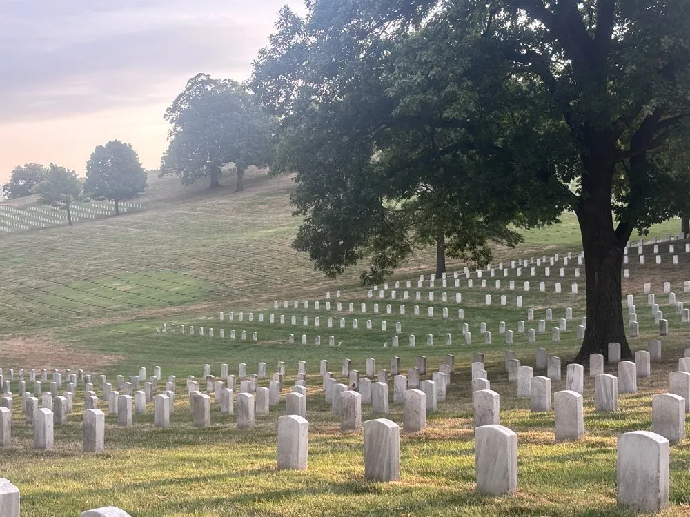 Professional outdoor landscaping for outdoor upgrades in Olathe, KS by Creek Tree Service