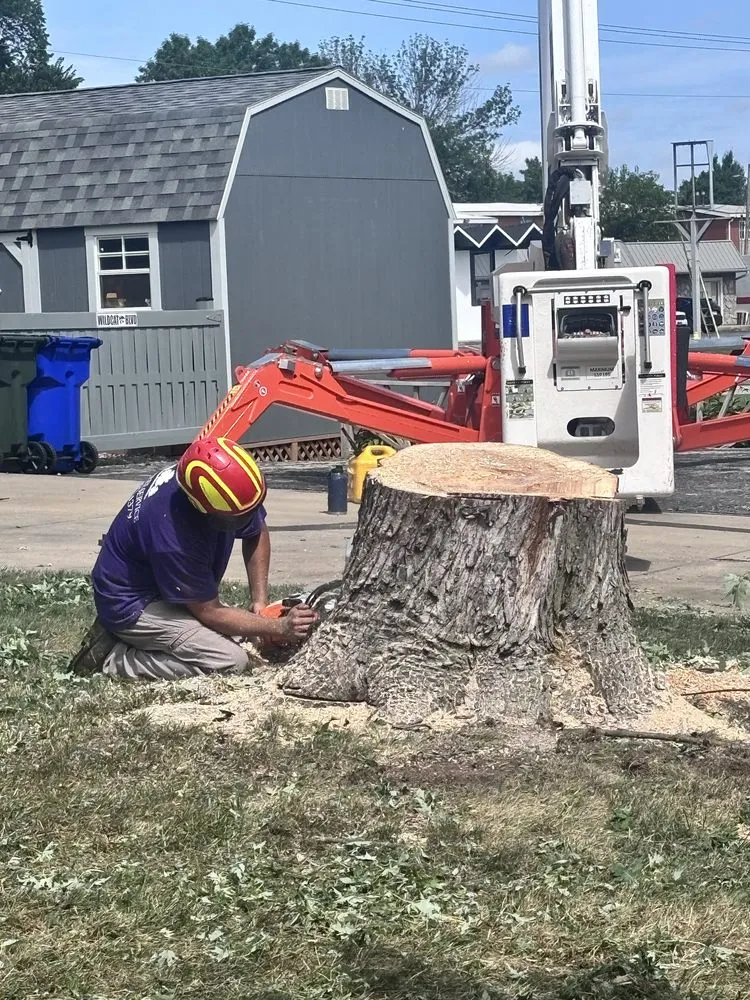 Local yard maintenance for year-round maintenance across Olathe, KS - Creek Tree Service