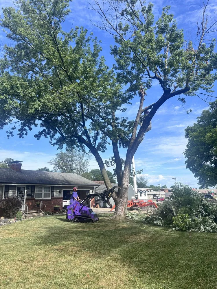 Top-rated lawn mowing service in Olathe, KS by Creek Tree Service