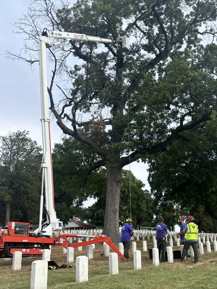 Affordable garden landscaping experts serving Olathe, KS - Creek Tree Service