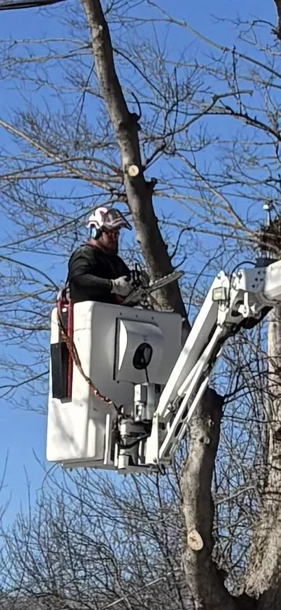 Trusted lawn mowing service in Olathe, KS - Creek Tree Service