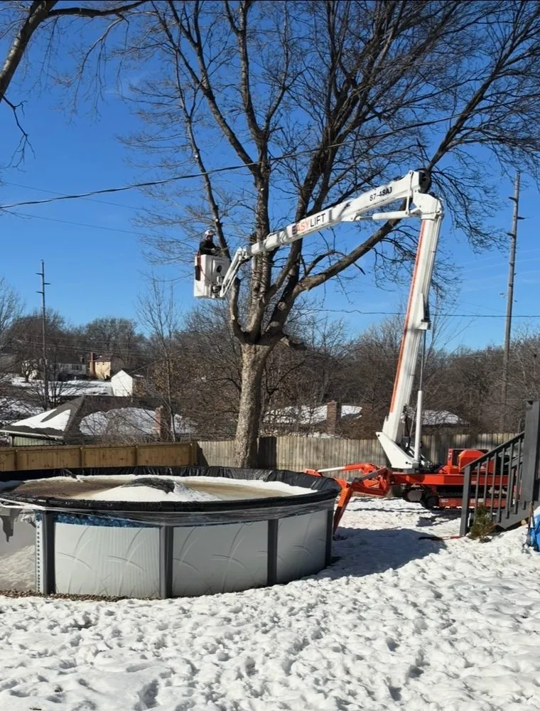 Top-rated yard maintenance in Olathe, KS by Creek Tree Service