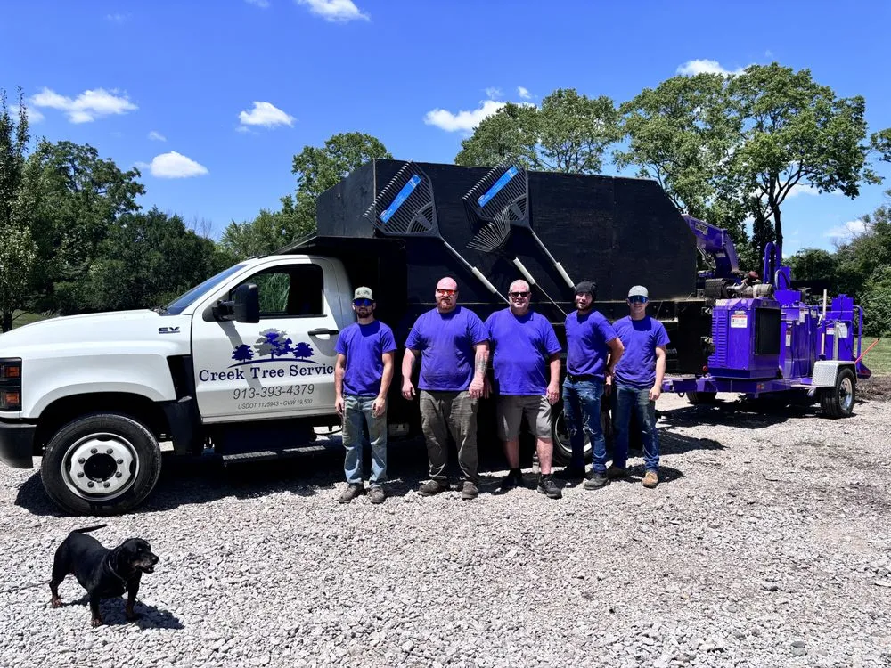 Local landscape installation with custom design across Olathe, KS - Creek Tree Service
