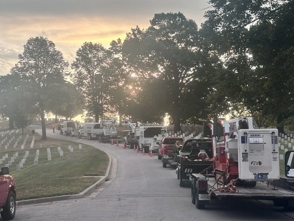 Local yard maintenance in Olathe, KS - Creek Tree Service