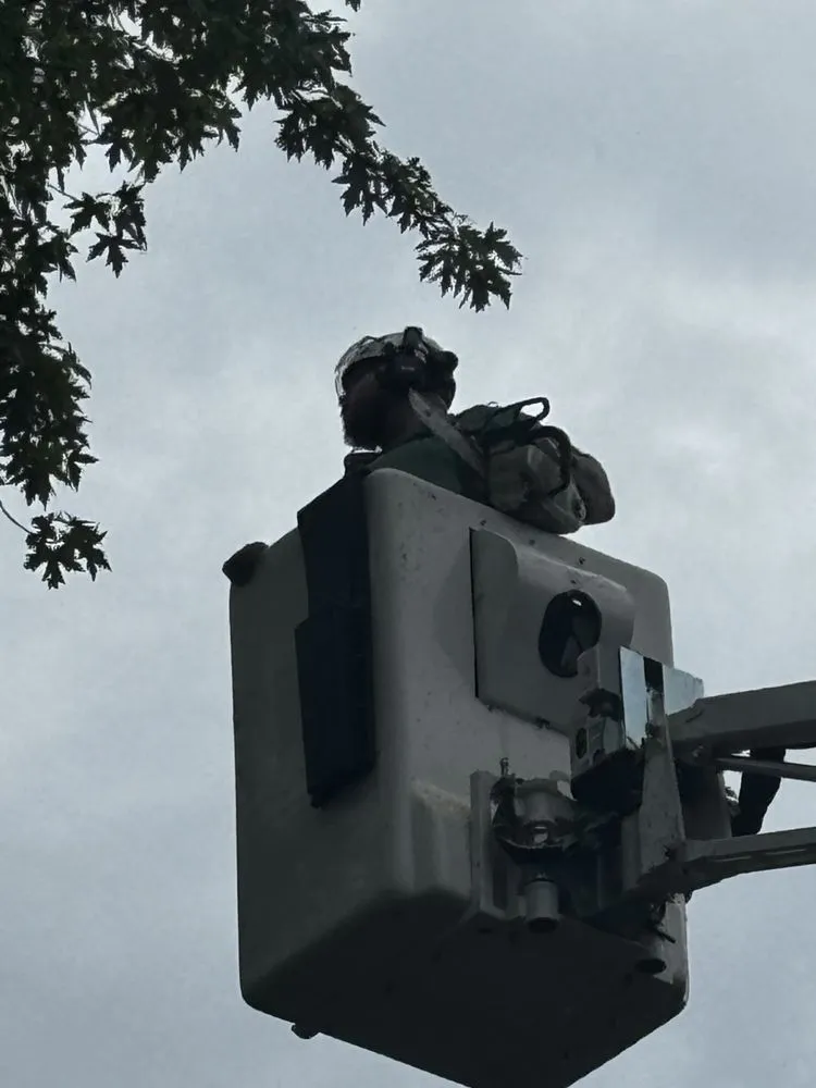 Expert landscape design in Olathe, KS by Creek Tree Service