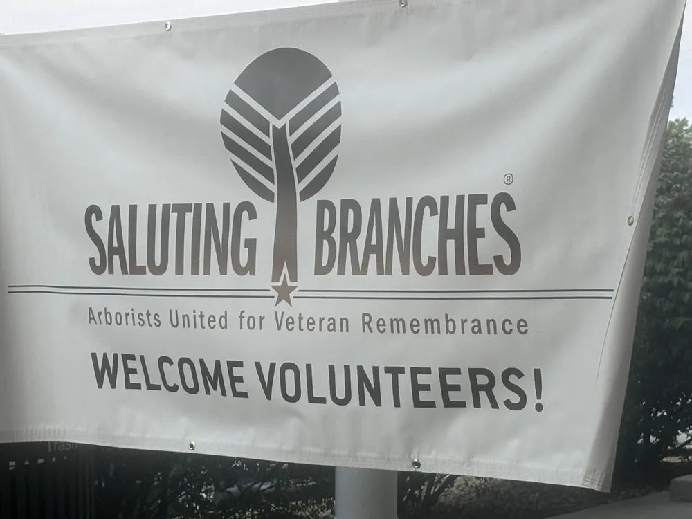 Expert landscape installation in Olathe, KS by Creek Tree Service