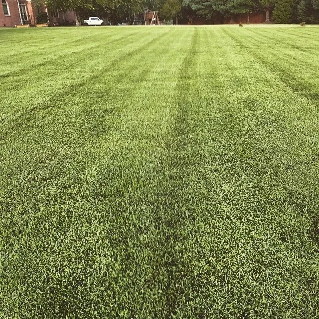 Professional lawn mowing service for year-round maintenance in Franklin, TN by CreekBoys LawnCare