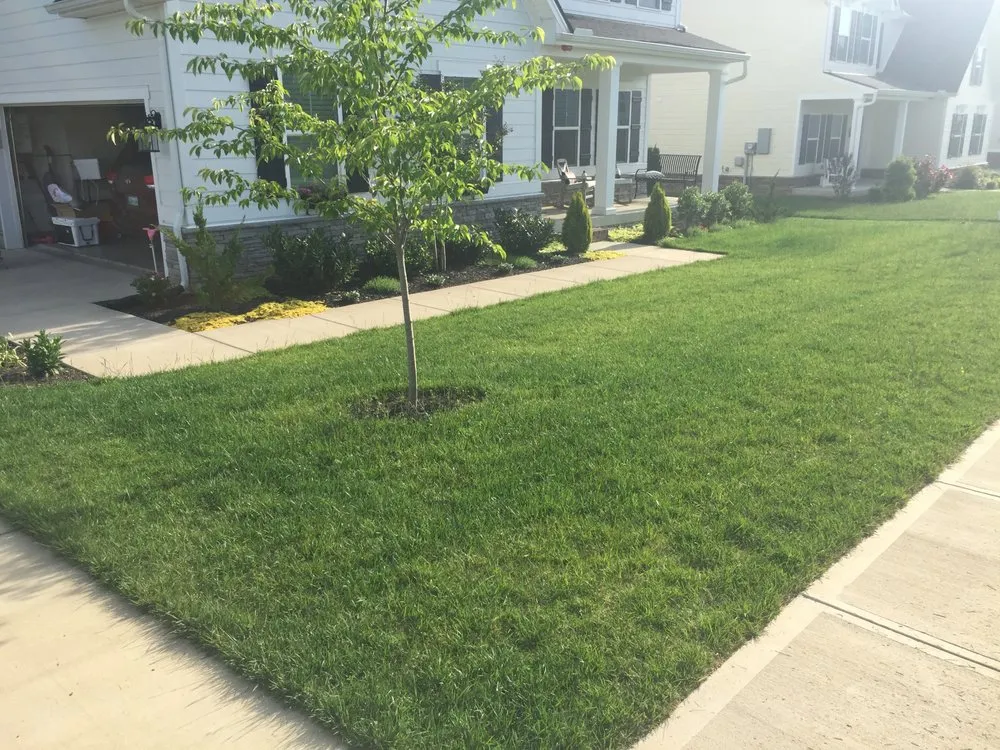 Top-rated yard cleanup service in Franklin, TN - CreekBoys LawnCare