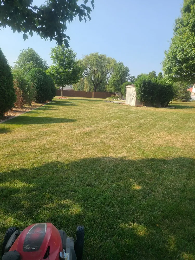 Custom lawn care service experts serving Chicago, IL - Creekside Cutting