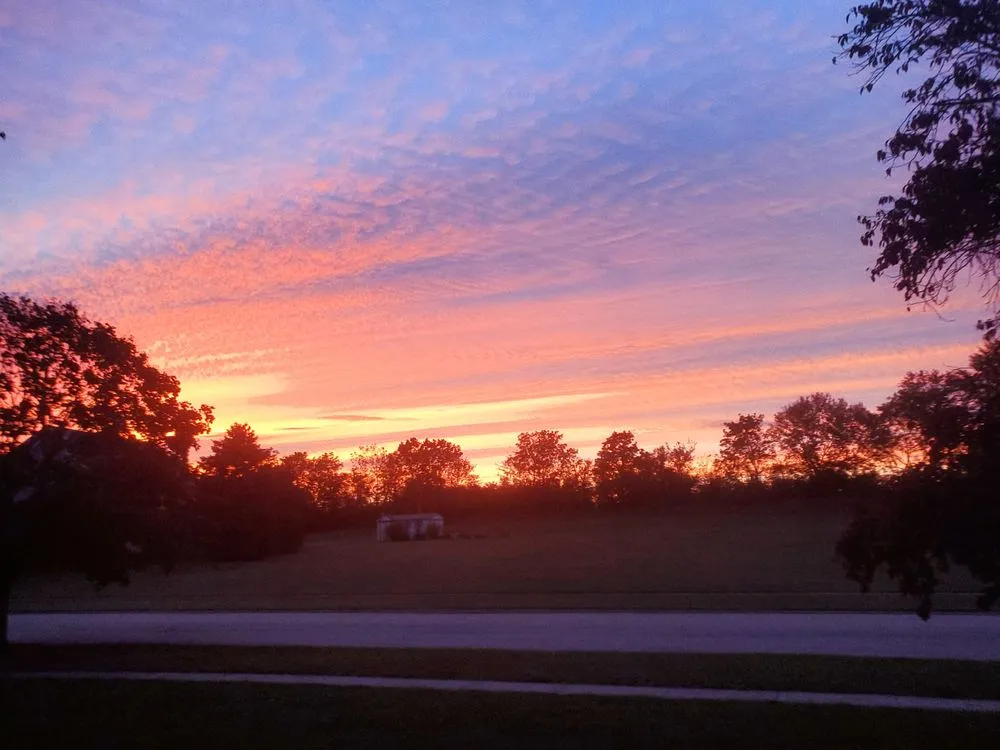 Custom outdoor landscaping in Chicago, IL - Creekside Cutting