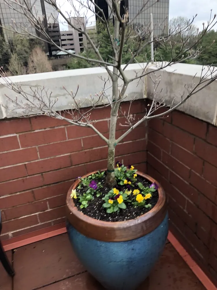 Custom landscaping services with custom design across Nashville, TN - Creekside Garden Center & Landscaping