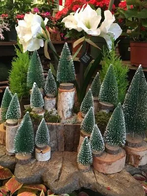 Creekside Garden Center & Landscaping Logo