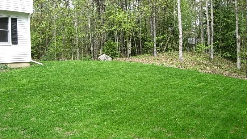 Professional yard maintenance for beautiful yards in Calhoun, GA by CreekSide HydroSeeding