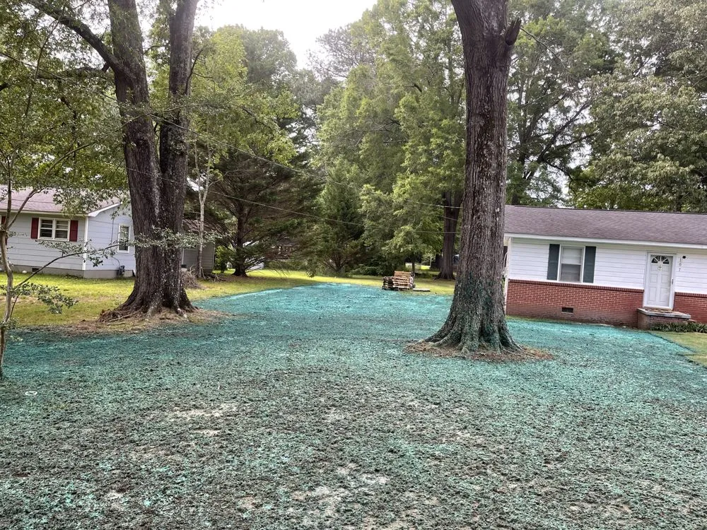 Custom residential landscaping for outdoor upgrades in Calhoun, GA by CreekSide HydroSeeding