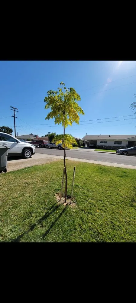 Top-rated outdoor landscaping in Los Banos, CA by Creekside Landscape
