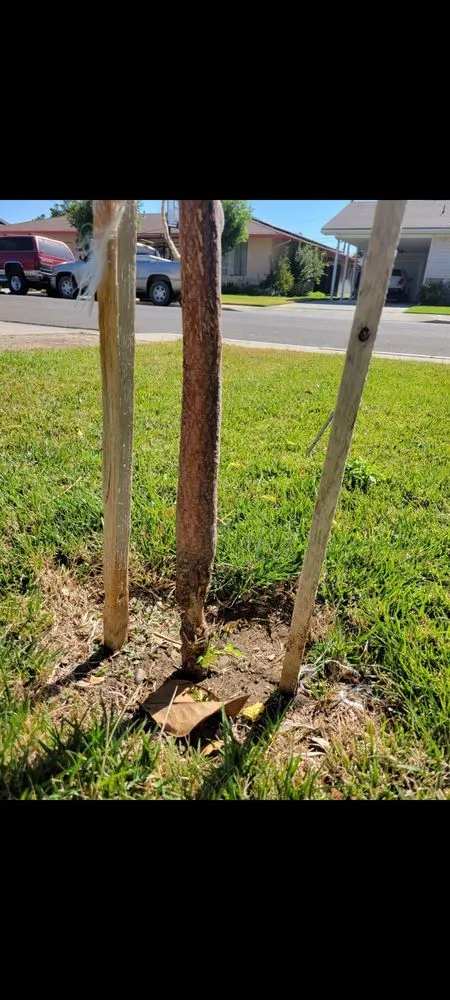 Affordable yard cleanup service in Los Banos, CA - Creekside Landscape