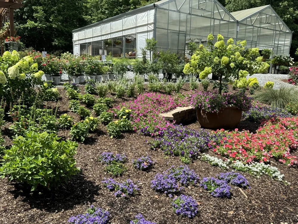 Affordable landscaping services for outdoor upgrades in Dallas, NC by Creekside Nursery