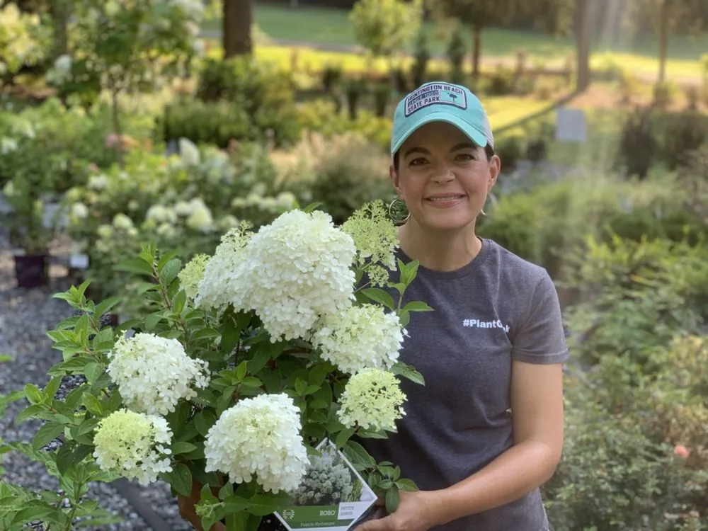 Local landscape design for outdoor upgrades in Dallas, NC by Creekside Nursery