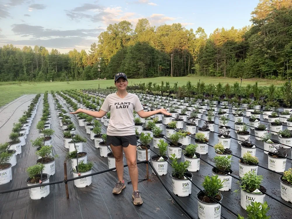 Expert landscape installation for outdoor upgrades across Dallas, NC - Creekside Nursery