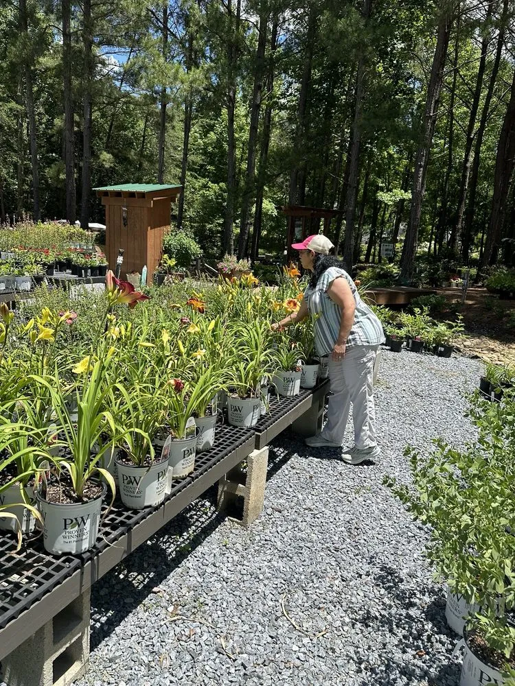Professional garden landscaping in Dallas, NC - Creekside Nursery