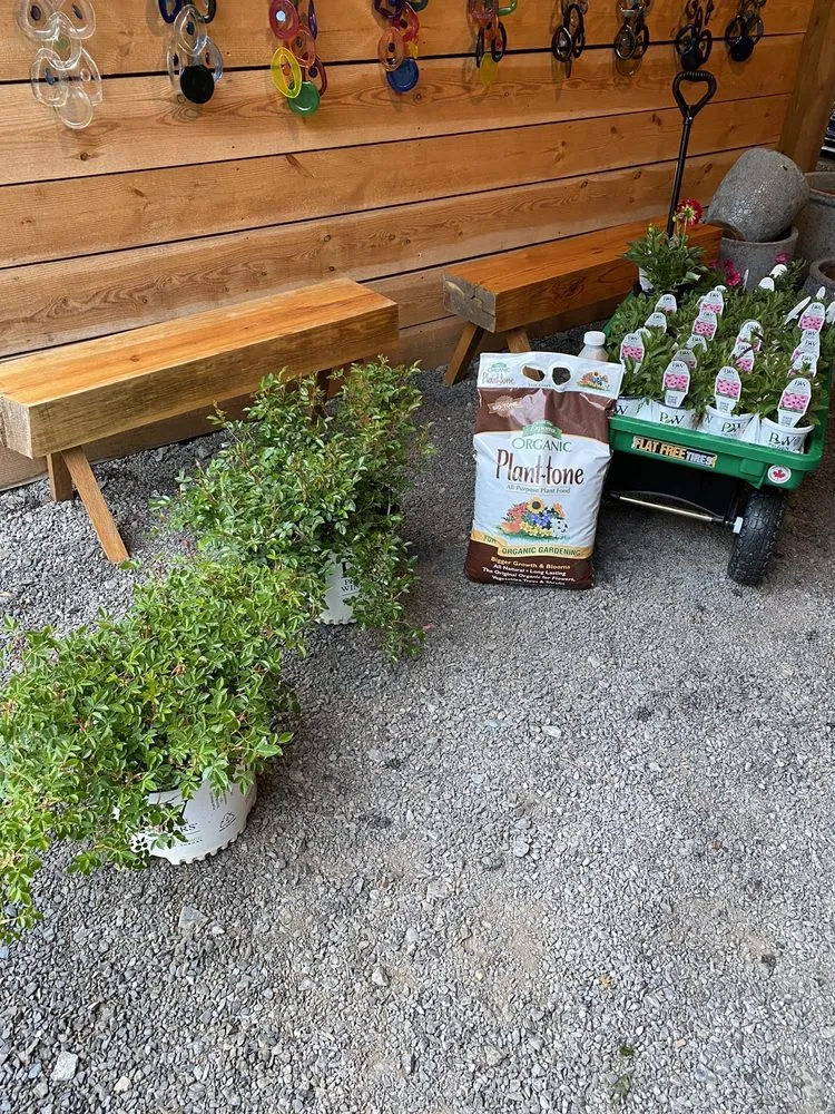 Affordable landscaping services in Dallas, NC by Creekside Nursery