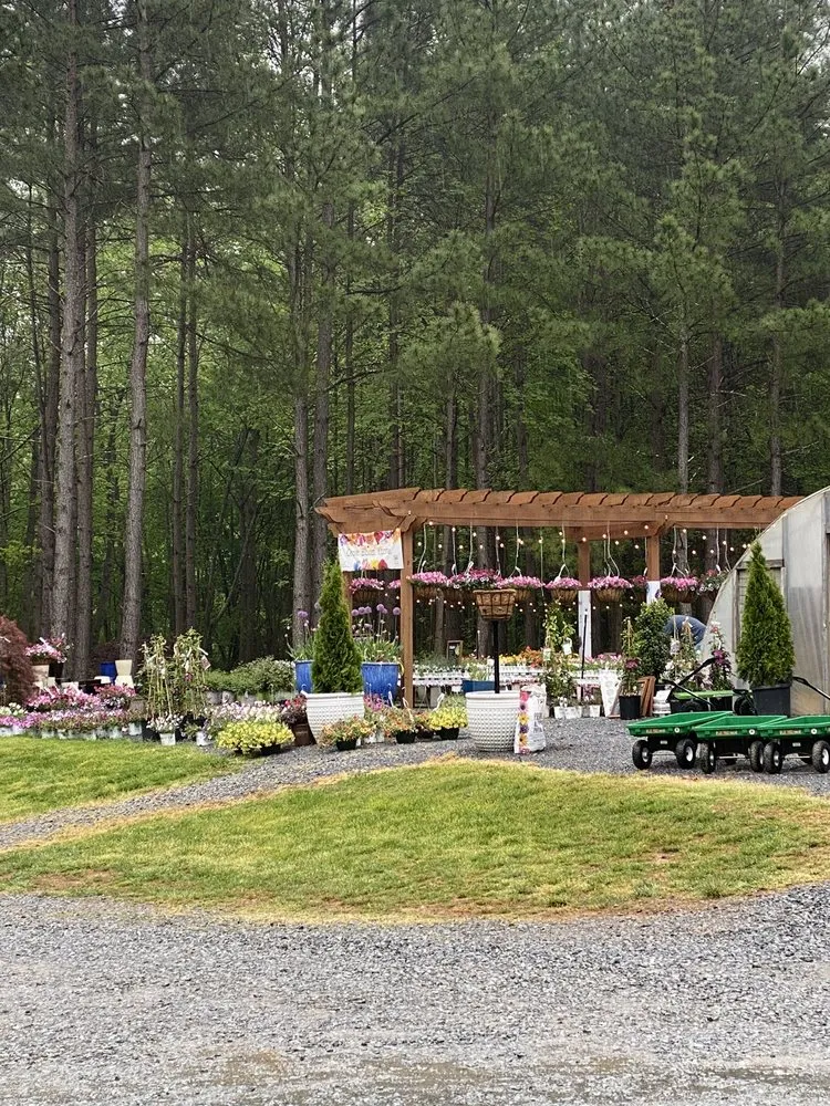 Reliable yard cleanup service for outdoor upgrades across Dallas, NC - Creekside Nursery