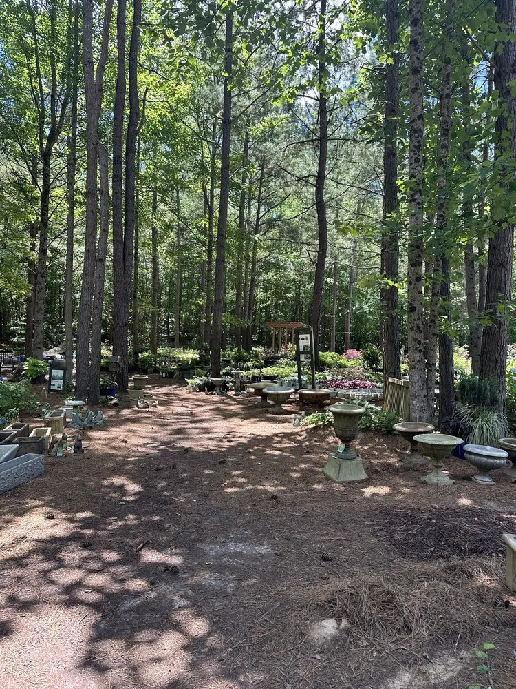 Top-rated outdoor landscaping for residential properties across Dallas, NC - Creekside Nursery