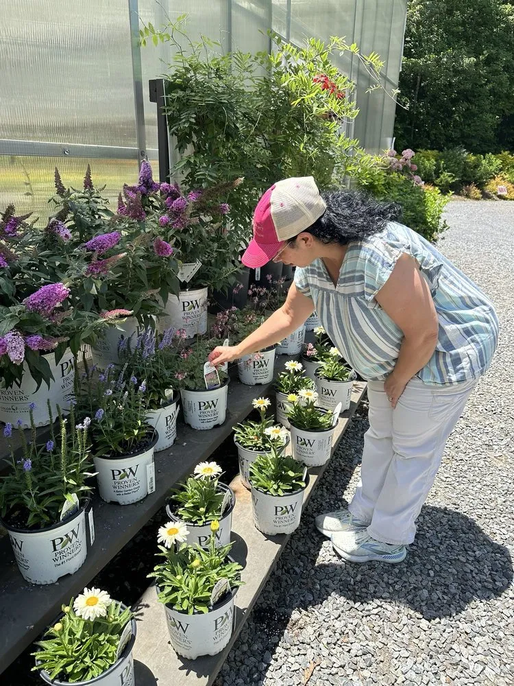 Professional garden landscaping for residential properties in Dallas, NC by Creekside Nursery