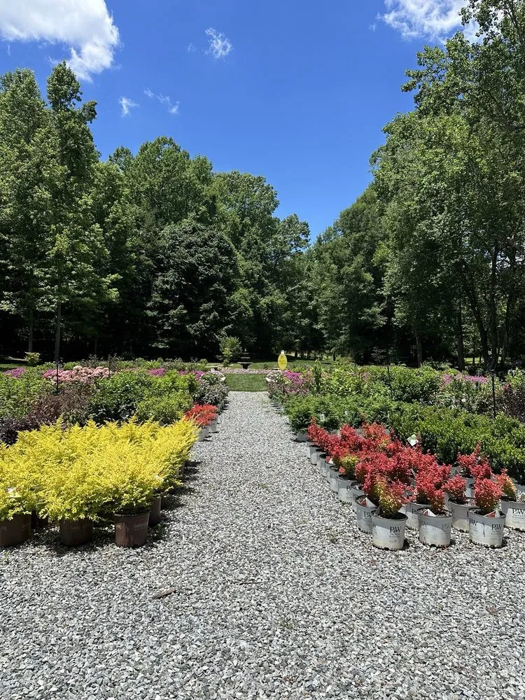 Affordable lawn mowing service with custom design in Dallas, NC by Creekside Nursery