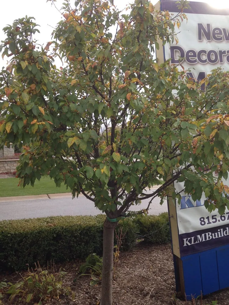 Custom outdoor landscaping for homes in Sharon, WI by Creekstone