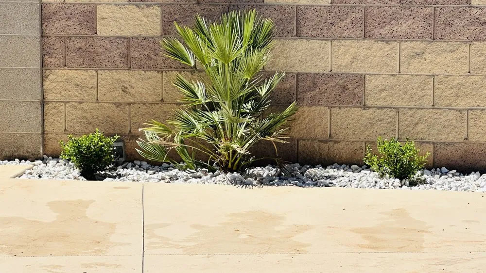 Top-rated lawn mowing service for homes in St. George, UT by Creekview Landscape