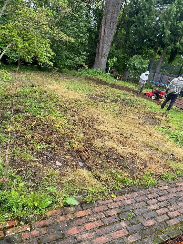 Top-rated lawn care service experts serving Tualatin, OR - CreekView Landscape