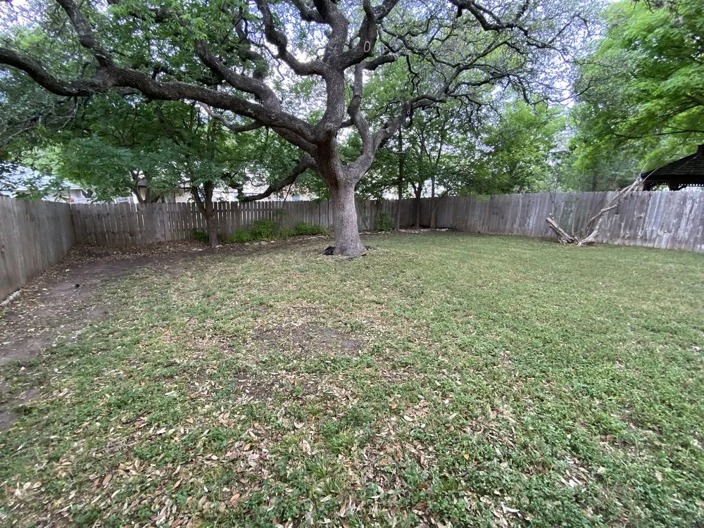 Trusted garden landscaping in Cedar Creek, TX by Creekwood Lawn & Landscaping