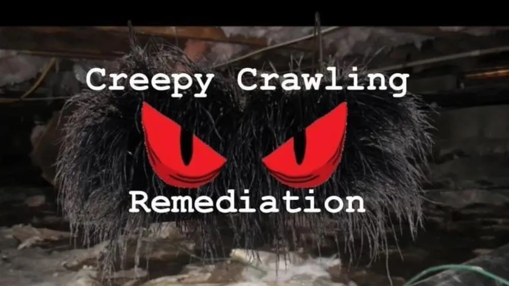 Trusted yard cleanup service in Woodstock, GA - Creepy Crawling Remediation