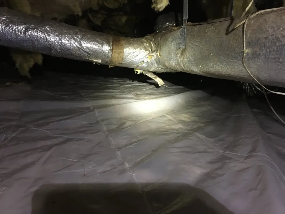 Custom residential landscaping near you in Woodstock, GA by Creepy Crawling Remediation