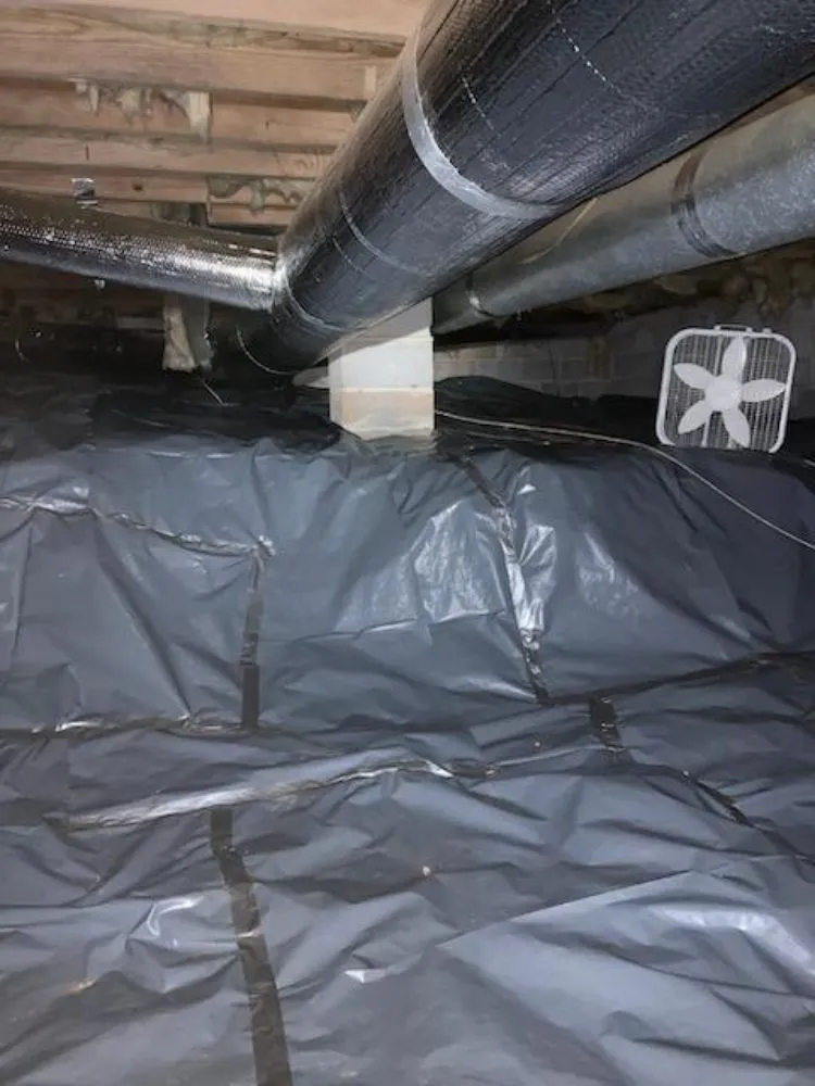 Professional landscape design for outdoor upgrades across Woodstock, GA - Creepy Crawling Remediation