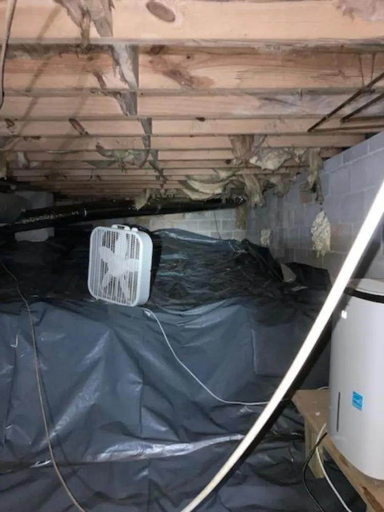 Affordable garden landscaping for residential properties in Woodstock, GA by Creepy Crawling Remediation