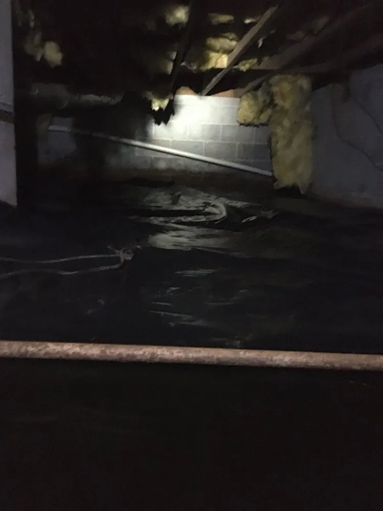 Local garden landscaping for year-round maintenance in Woodstock, GA by Creepy Crawling Remediation