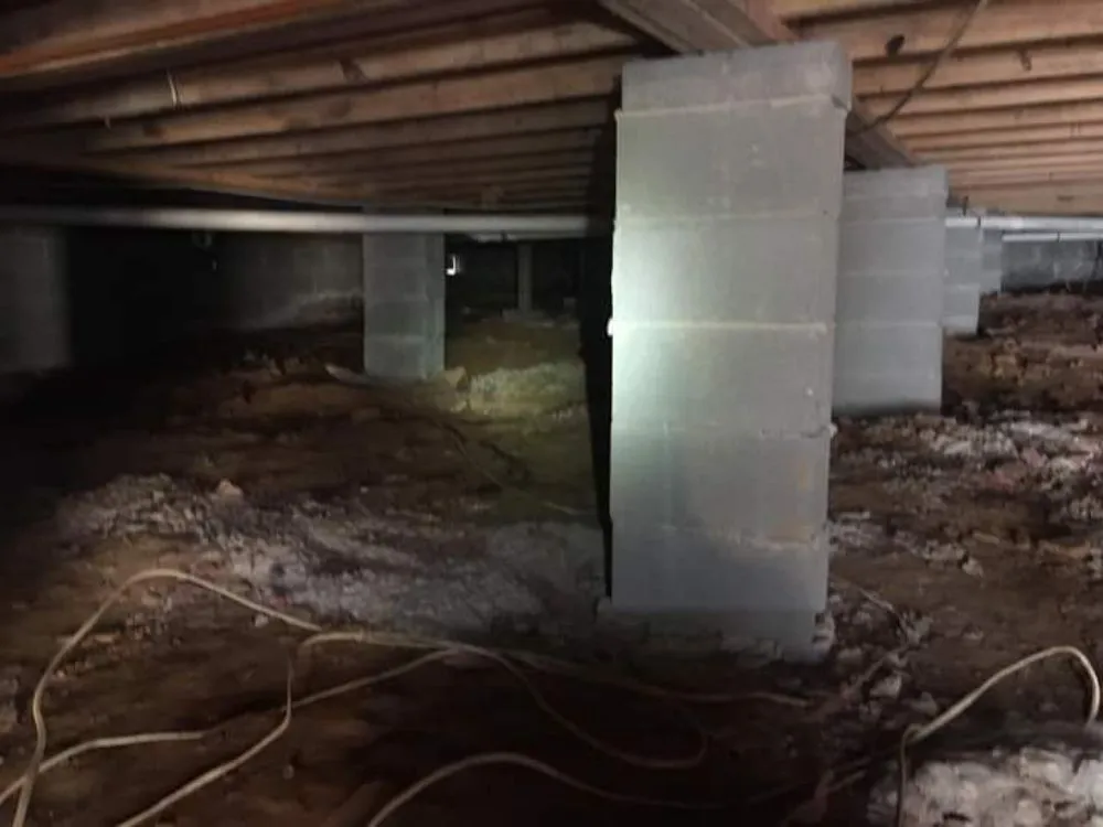 Reliable outdoor landscaping in Woodstock, GA - Creepy Crawling Remediation