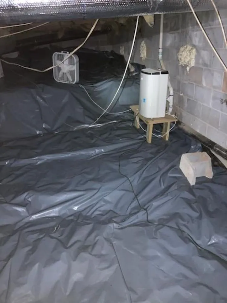 Local outdoor landscaping in Woodstock, GA by Creepy Crawling Remediation