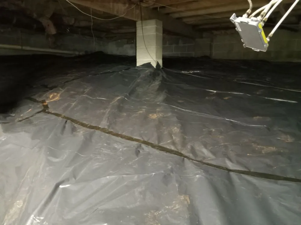 Custom residential landscaping near you in Woodstock, GA by Creepy Crawling Remediation